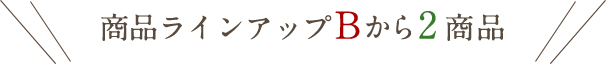 商品ラインアップBから2商品