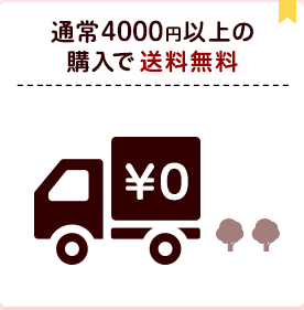 4,000円以上の購入で 送料無料